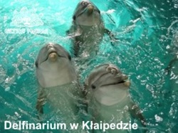 Delfinarium Kłajpeda - Pałanga Morze Bałtyckie