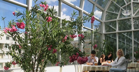 Sanatorium Bialoruś Druskienniki