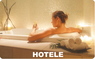 Druskieniki Druskininkai Rezerwacja Hotel